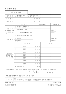 감리보고서